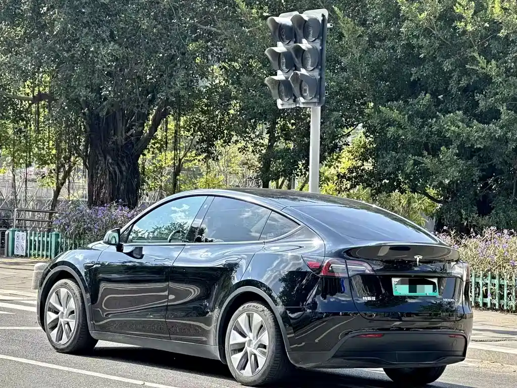 Tesla Model Y — миниатюра 4