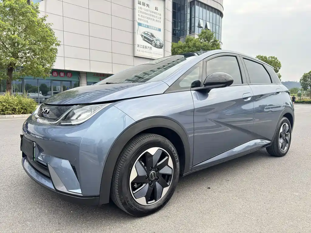 BYD Dolphin