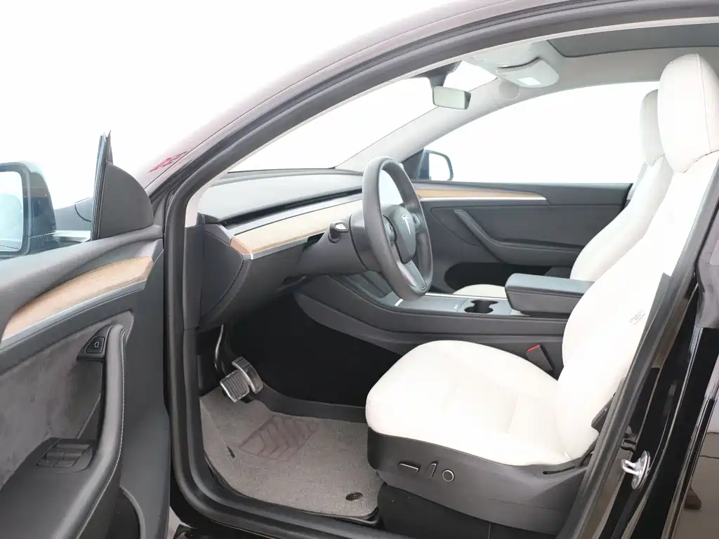 Tesla Model Y — миниатюра 4