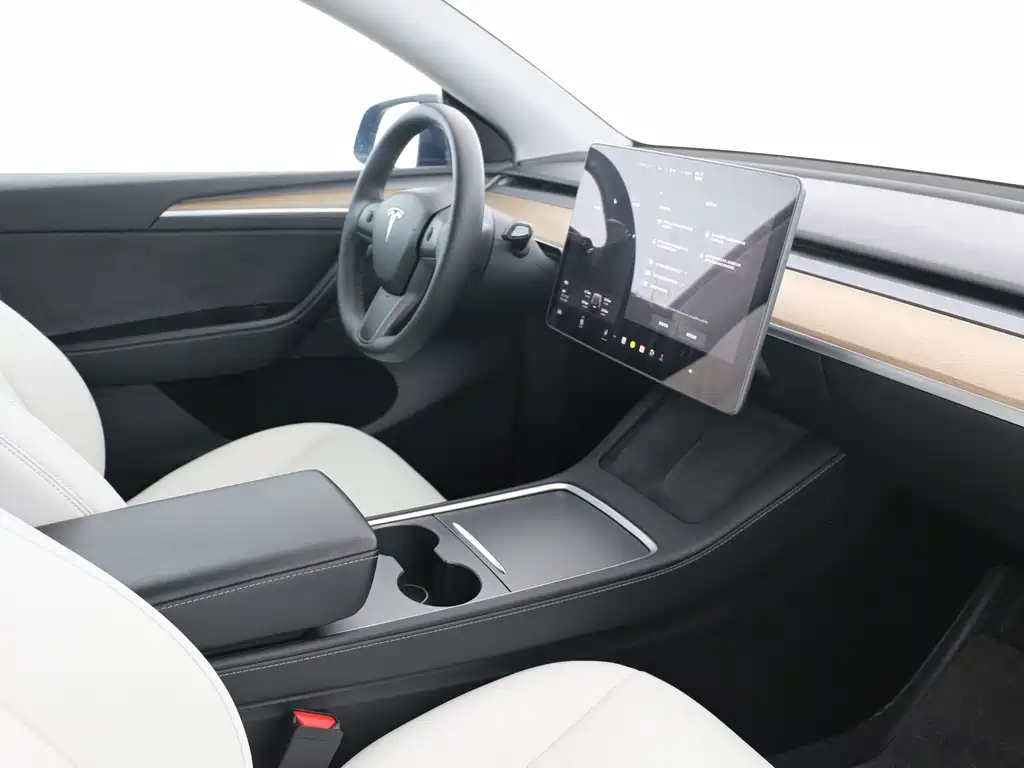 Tesla Model Y — миниатюра 6
