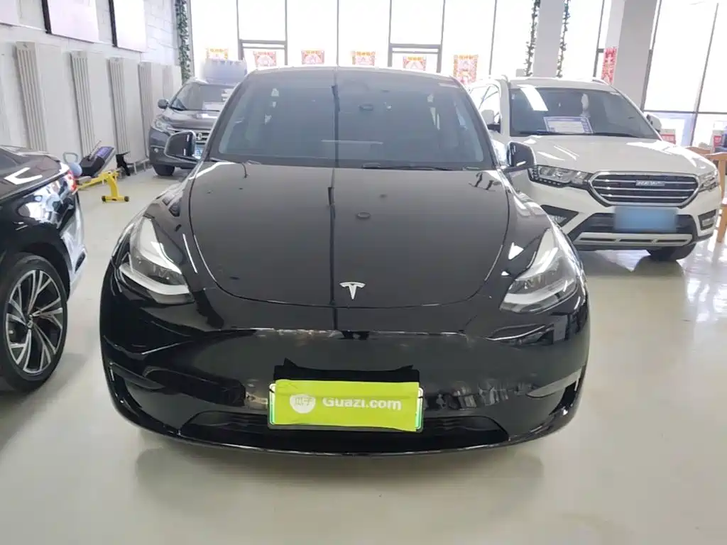 Tesla Model Y — миниатюра 3
