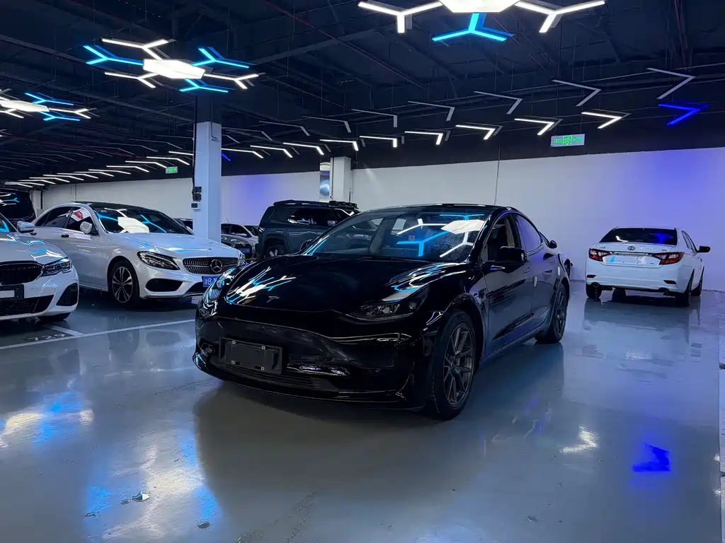Tesla Model 3 2022