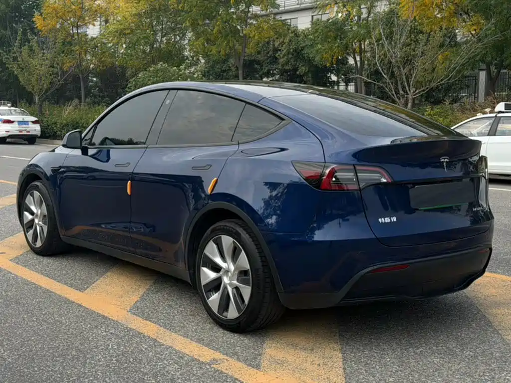 Tesla Model Y — миниатюра 10