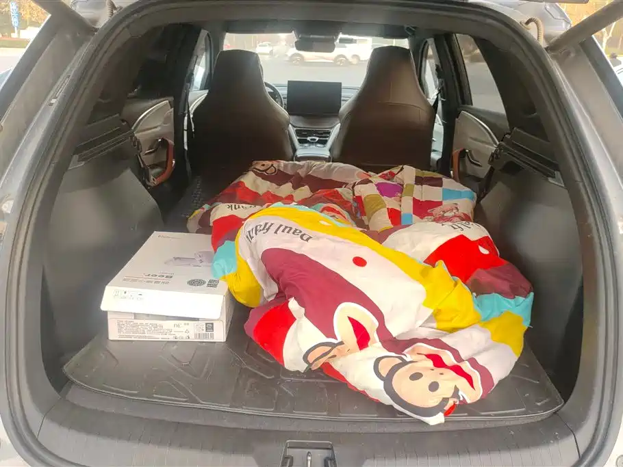 BYD SONGJIANG NEW ENERGY