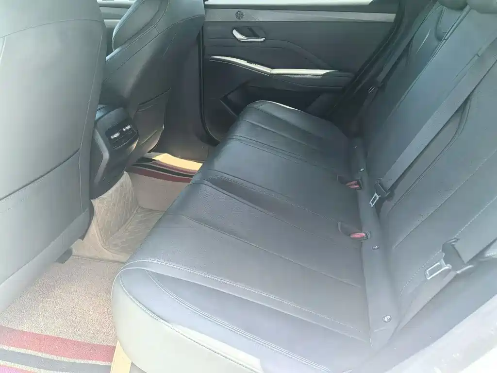 BYD Qin Plus PLUS 2025 DM-i Smart Drive 55KM Lead