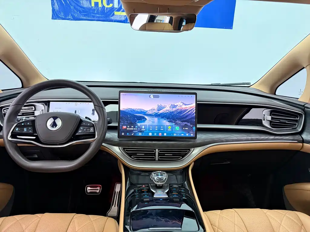 Denza Denza D9 — миниатюра 12