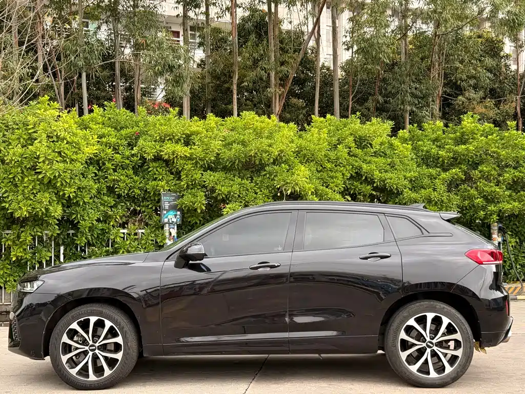 WEI PAI WEI BRAND VV7