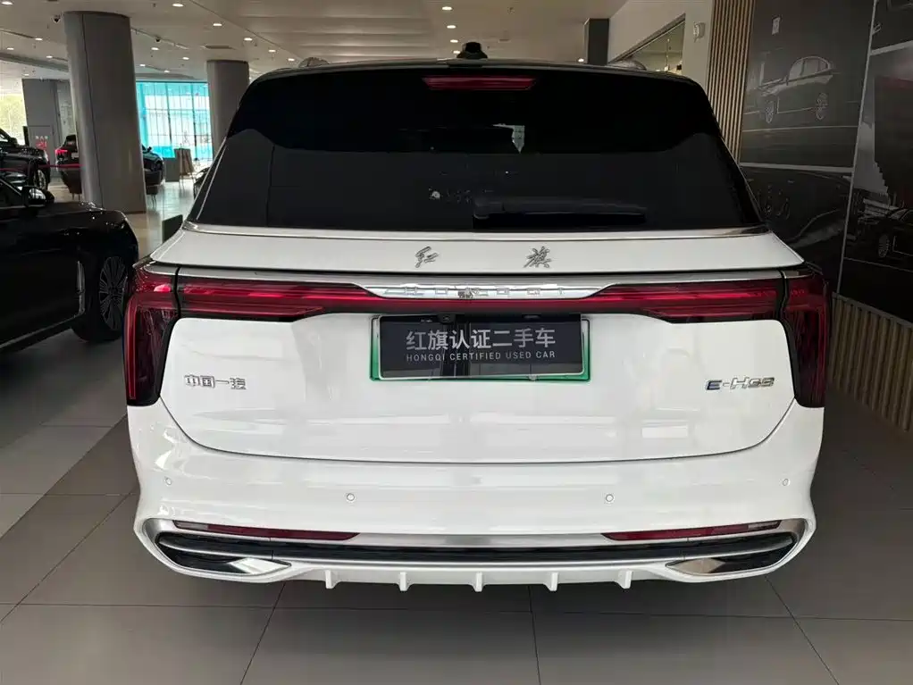Hongqi E-HS9 2022 690km мест