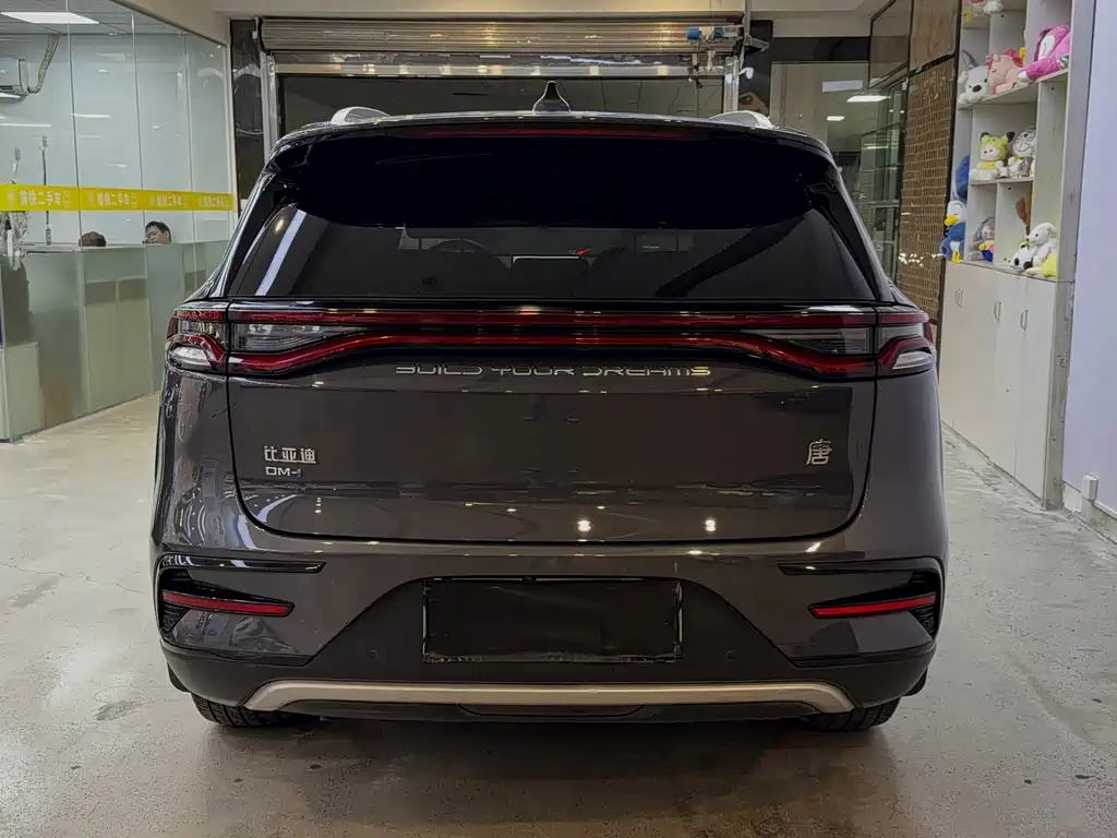 BYD Tang New Energy — миниатюра 6