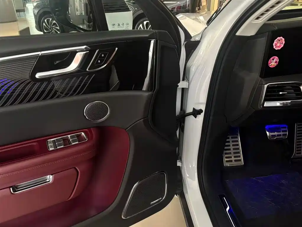 Hongqi E-HS9 2022 690km мест