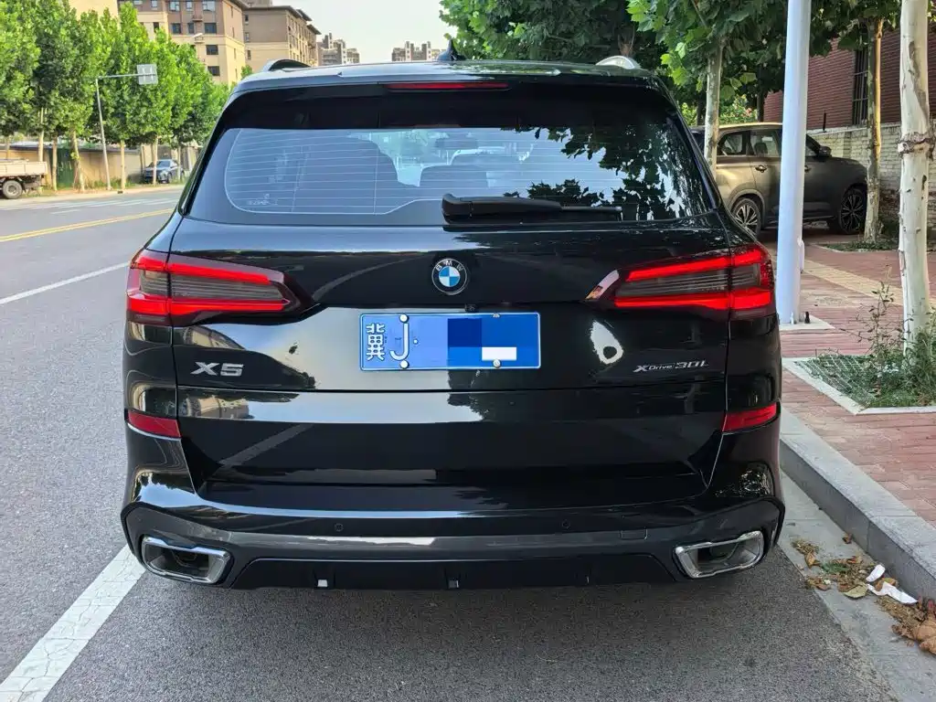 BMW X5 2022 xDrive 30Li M Sport