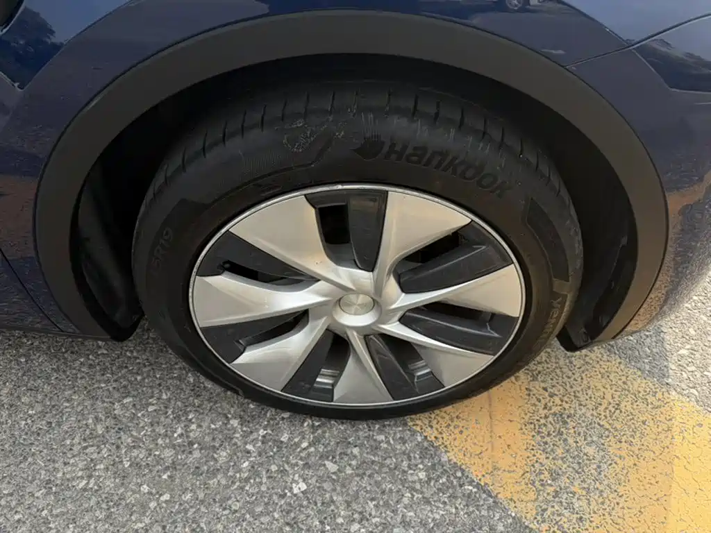 Tesla Model Y — миниатюра 13