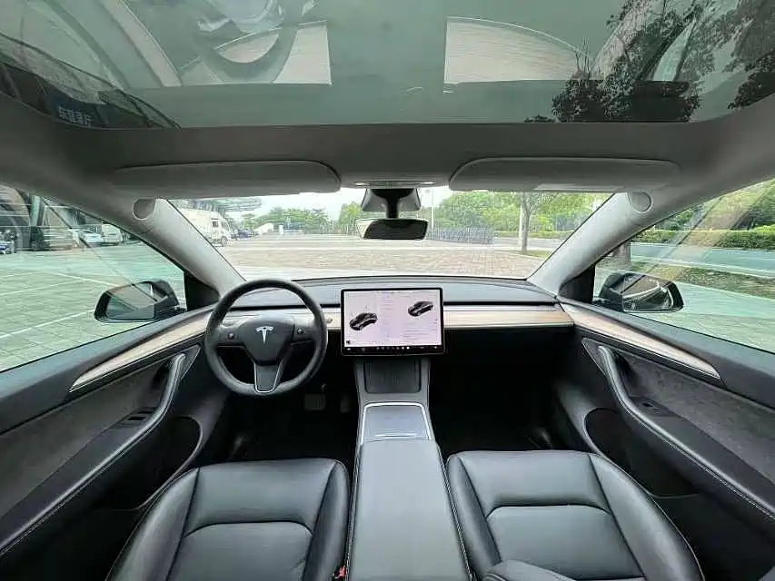 Tesla Model Y — миниатюра 4