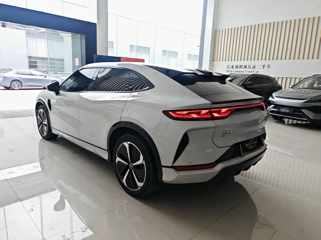 BYD L EV — миниатюра 5