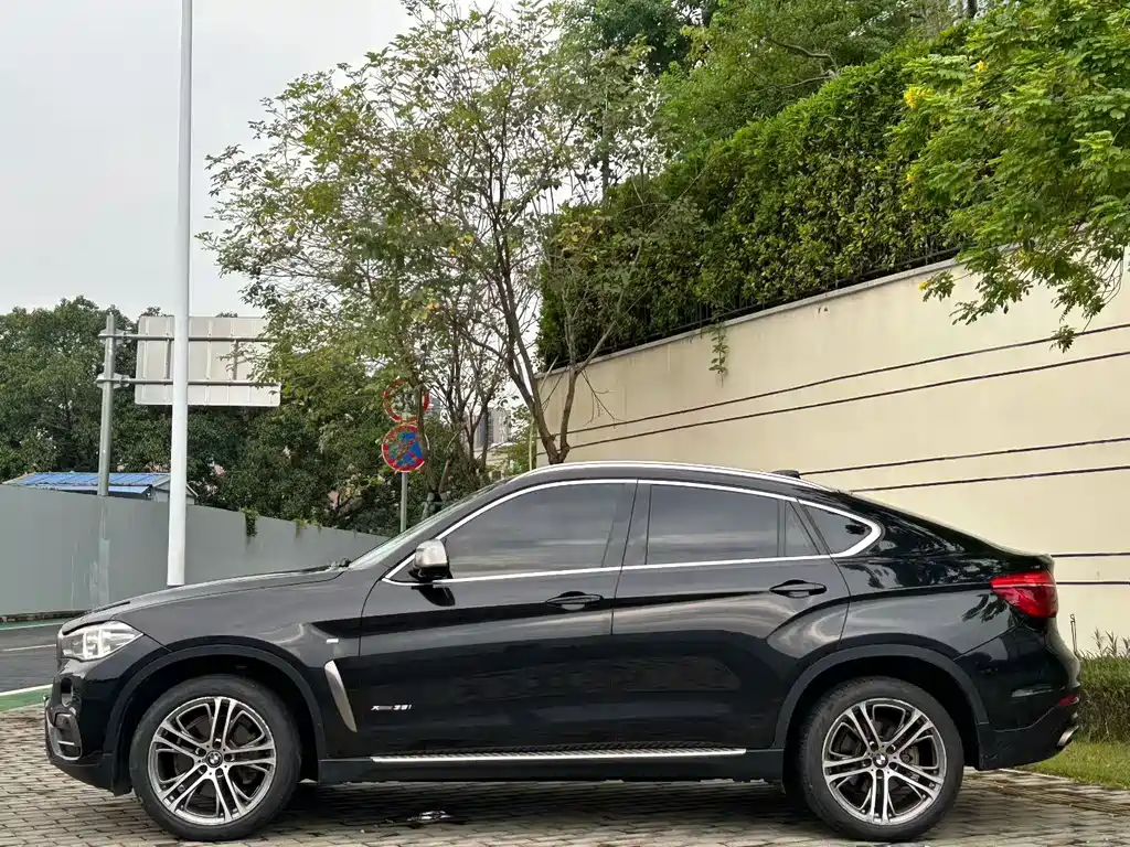 BMW X6 — миниатюра 3