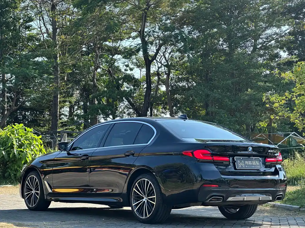 BMW 5 Series — миниатюра 4