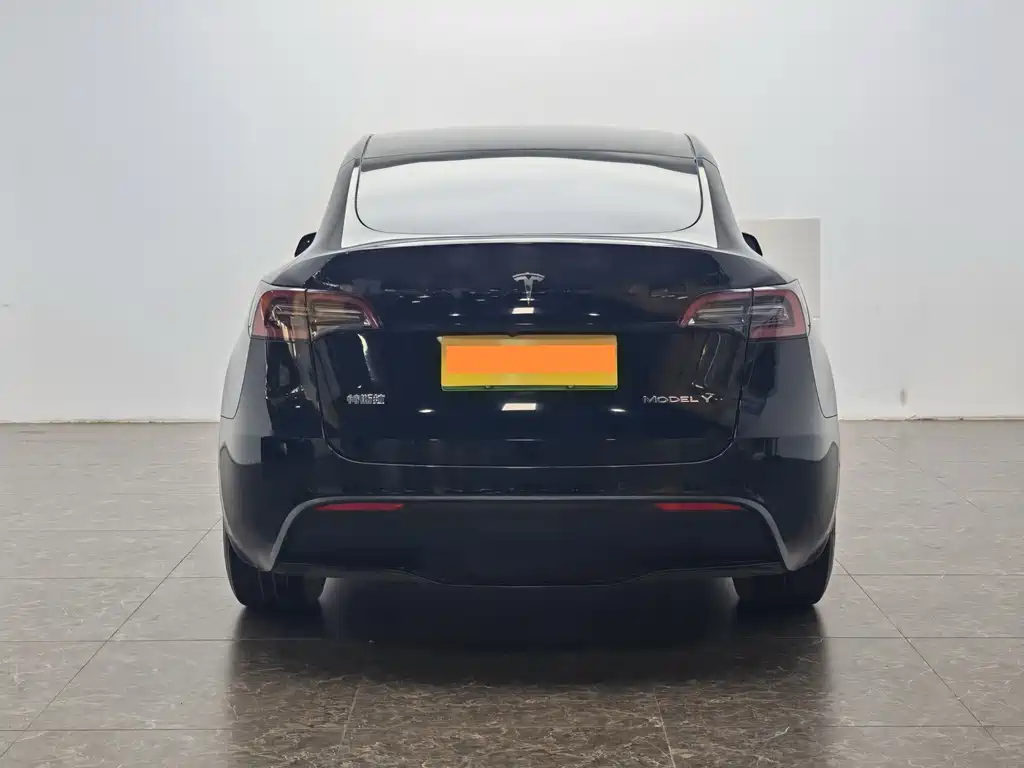 Tesla Model Y — миниатюра 6