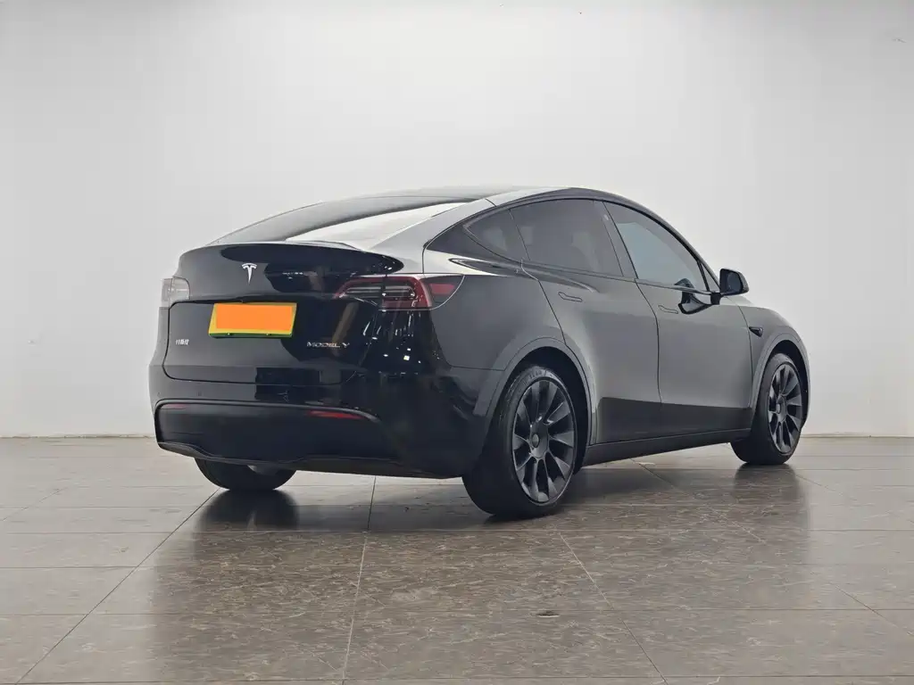 Tesla Model Y — миниатюра 3