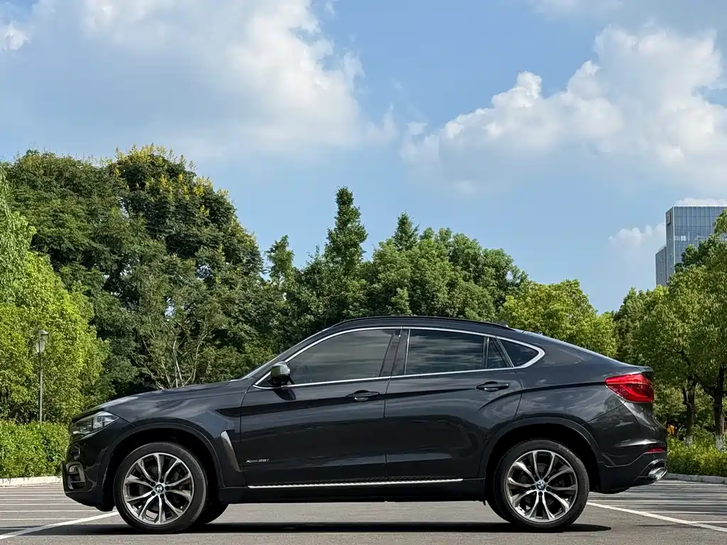 BMW X6 — миниатюра 3