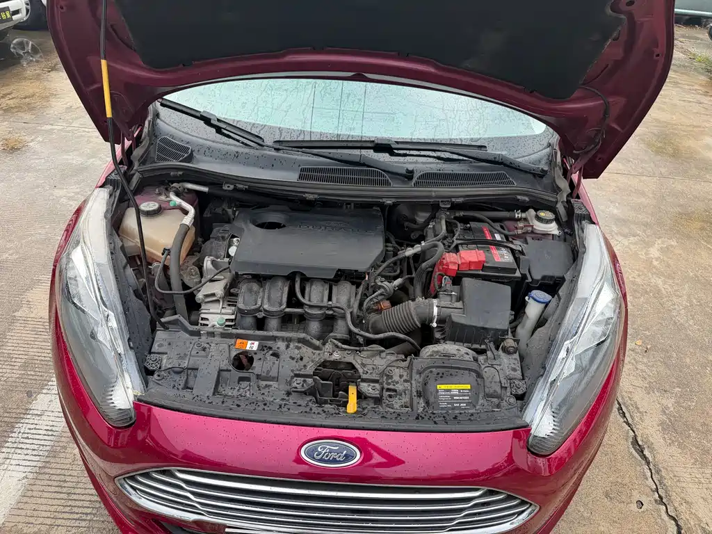 Ford Fiesta — миниатюра 11