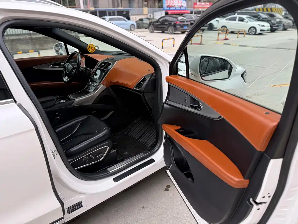 LINCOLN NAVIGATOR (IMPORT)