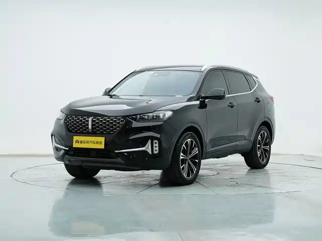 Wey Wey VV6