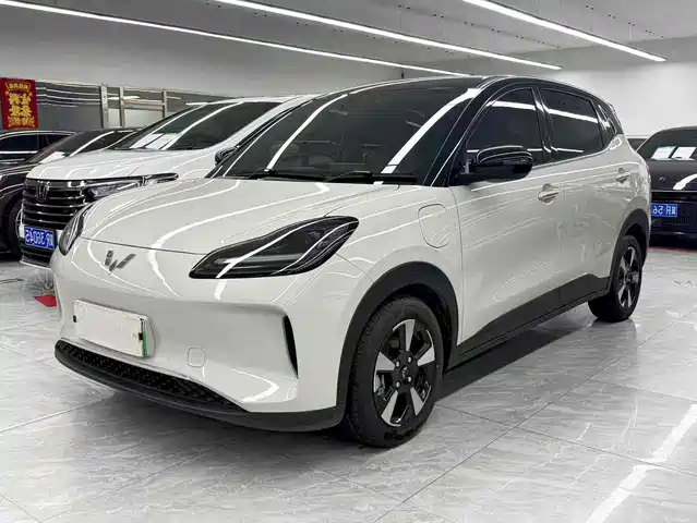 WULING AUTOMOBILE WULING BINGGUO PLUS 2025