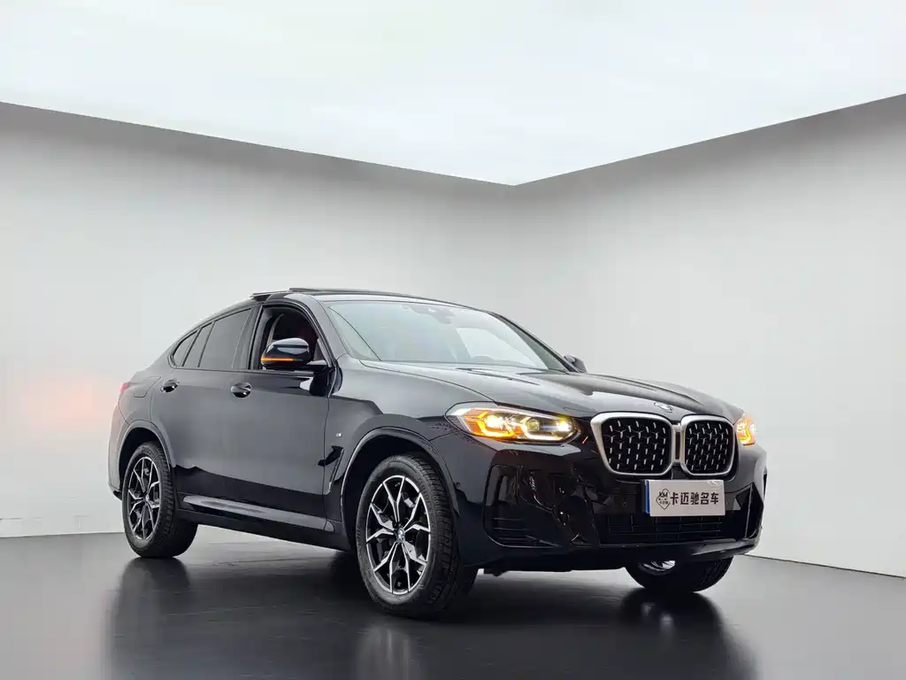 BMW X4 — миниатюра 4