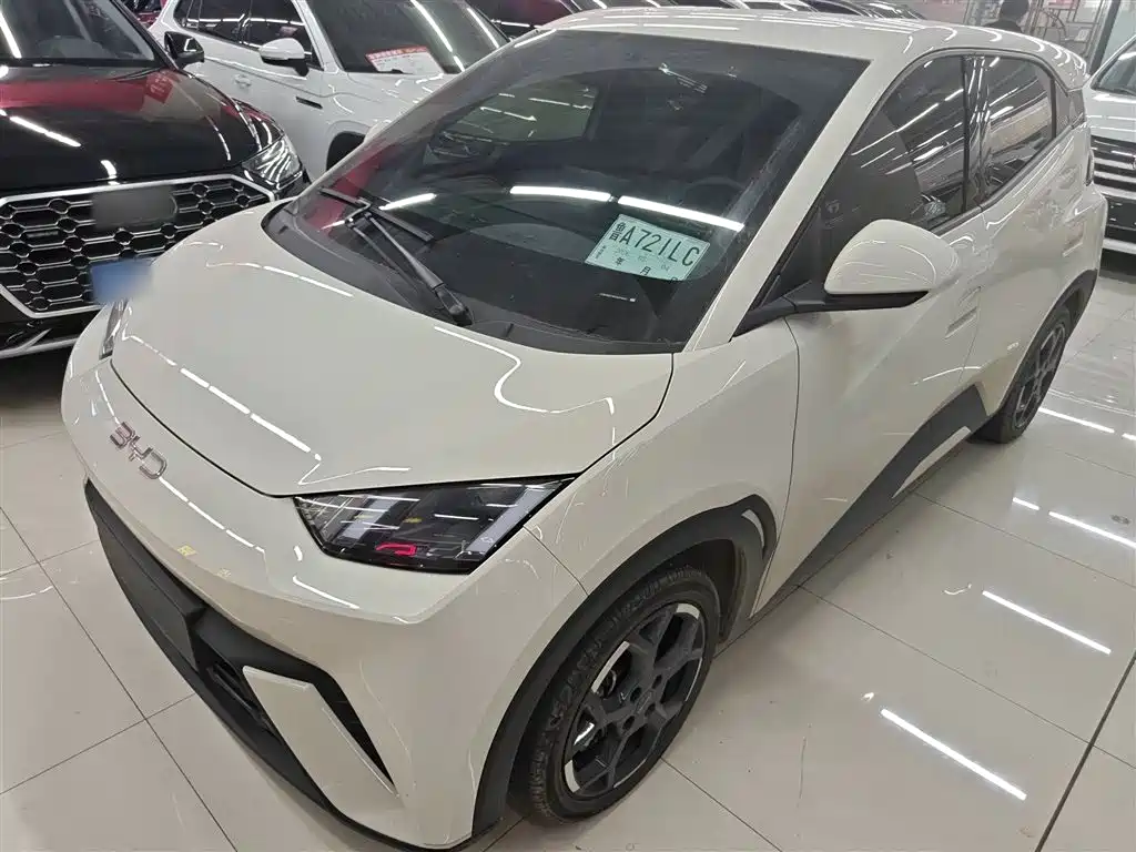 Byd Seagull 2024