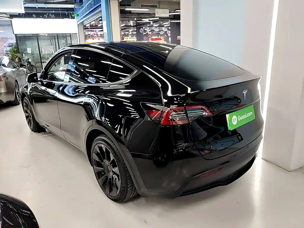 Tesla Model Y — миниатюра 5