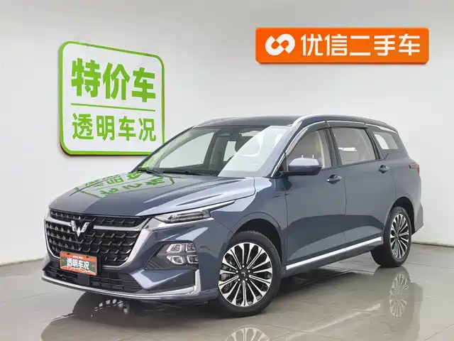 WULING WULING CAPGEMINI 2024