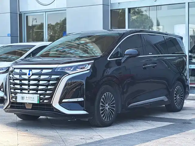 2022 Denza D9