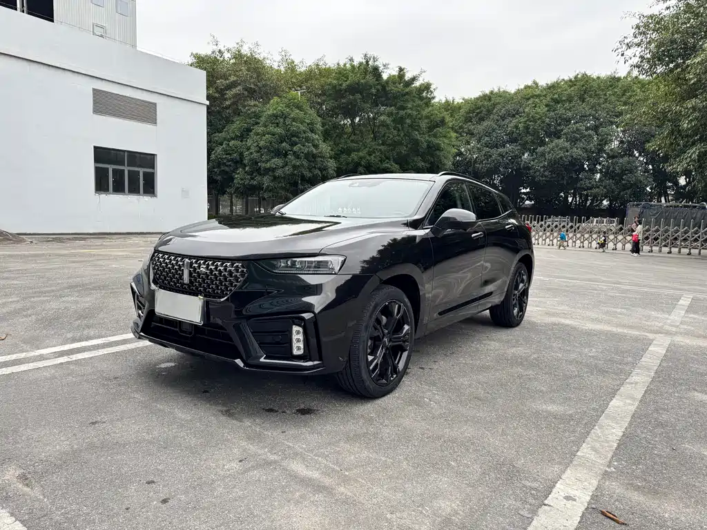 WEI PAI WEI BRAND VV7