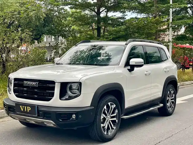 2020 Haval Big Dog