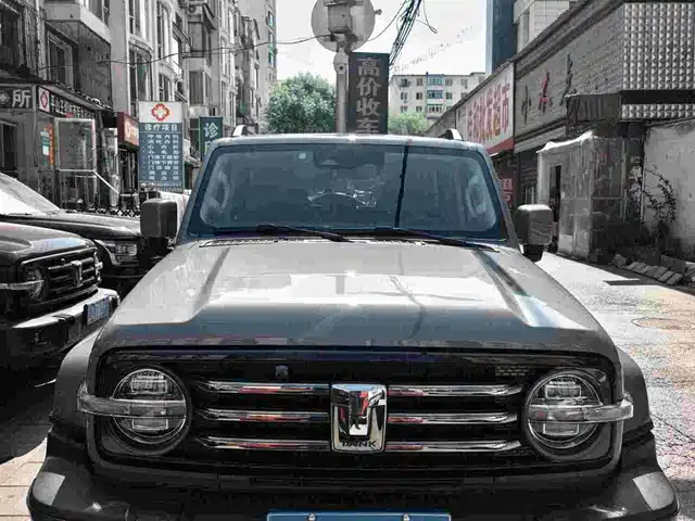 2022 TANK 300
