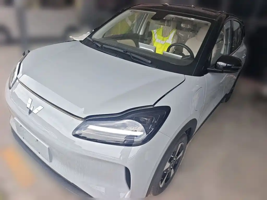 Wuling BinguoPLUS PLUS 2024 401km мест