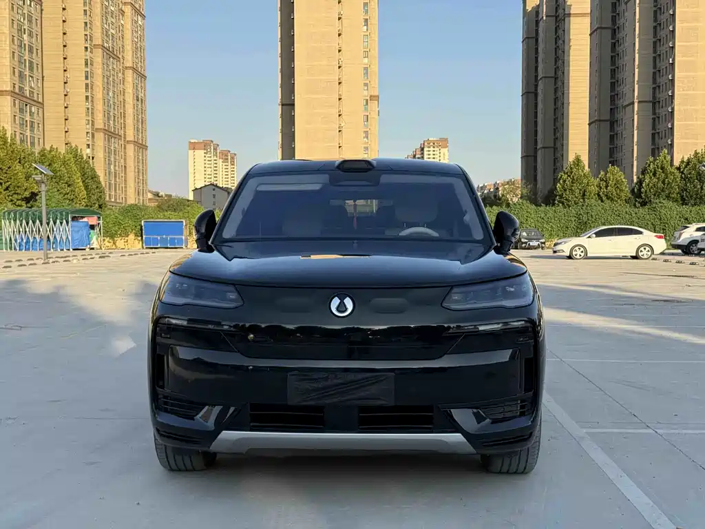 Denza Denza N9 — миниатюра 6