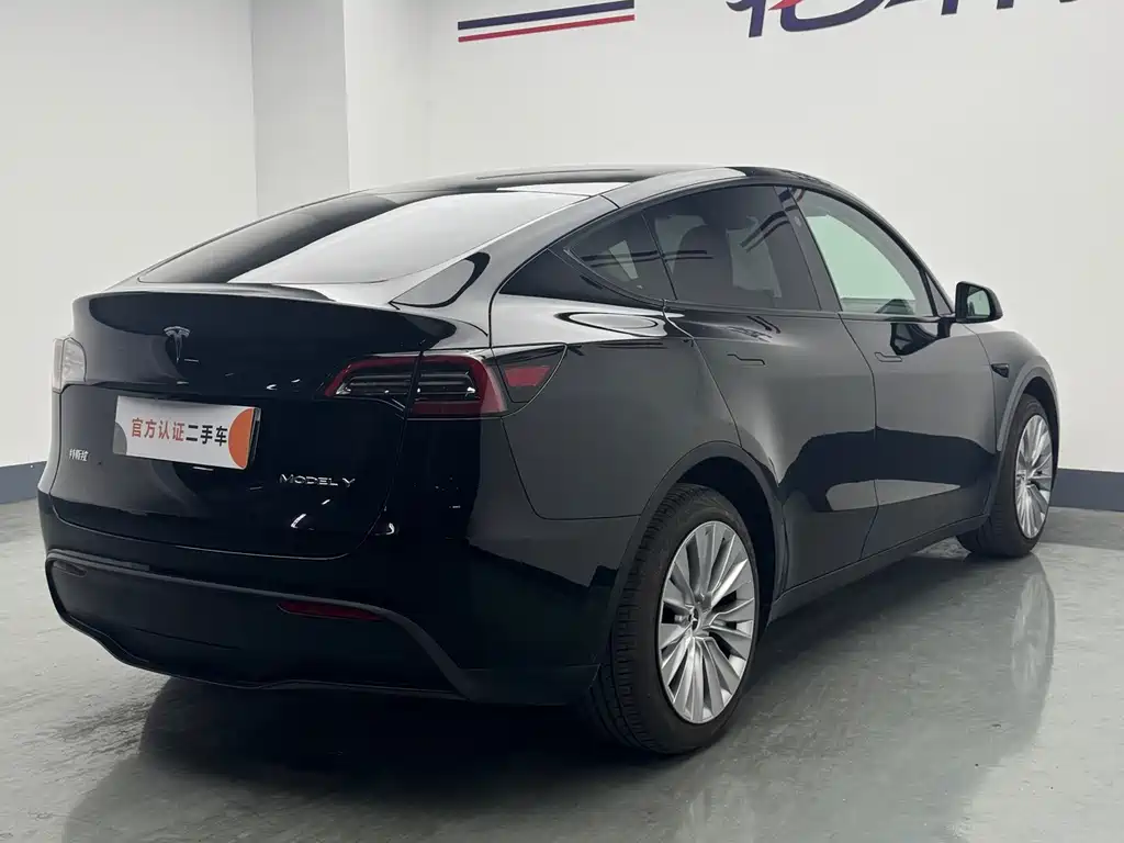 Tesla Model Y — миниатюра 7