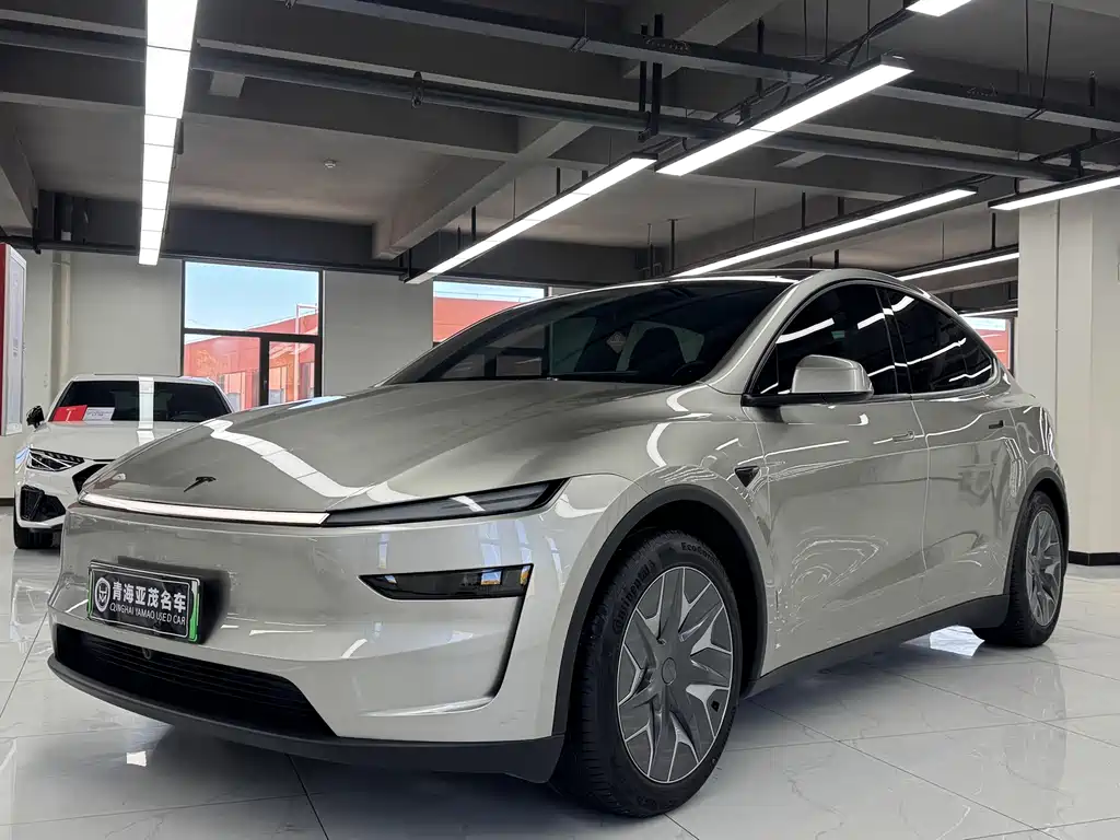 Tesla Model Y L
