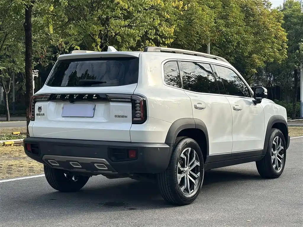 HAVAL BIG DOG