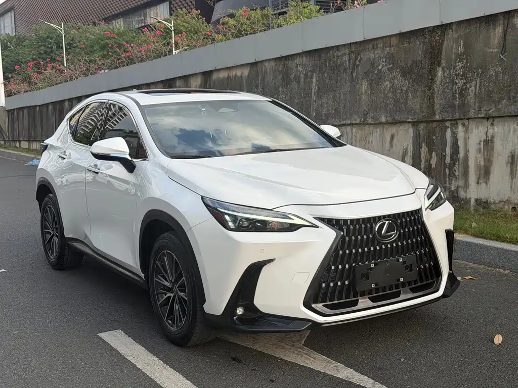 Lexus NX — миниатюра 3