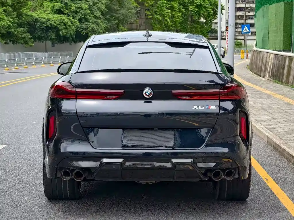 BMW  X6 M