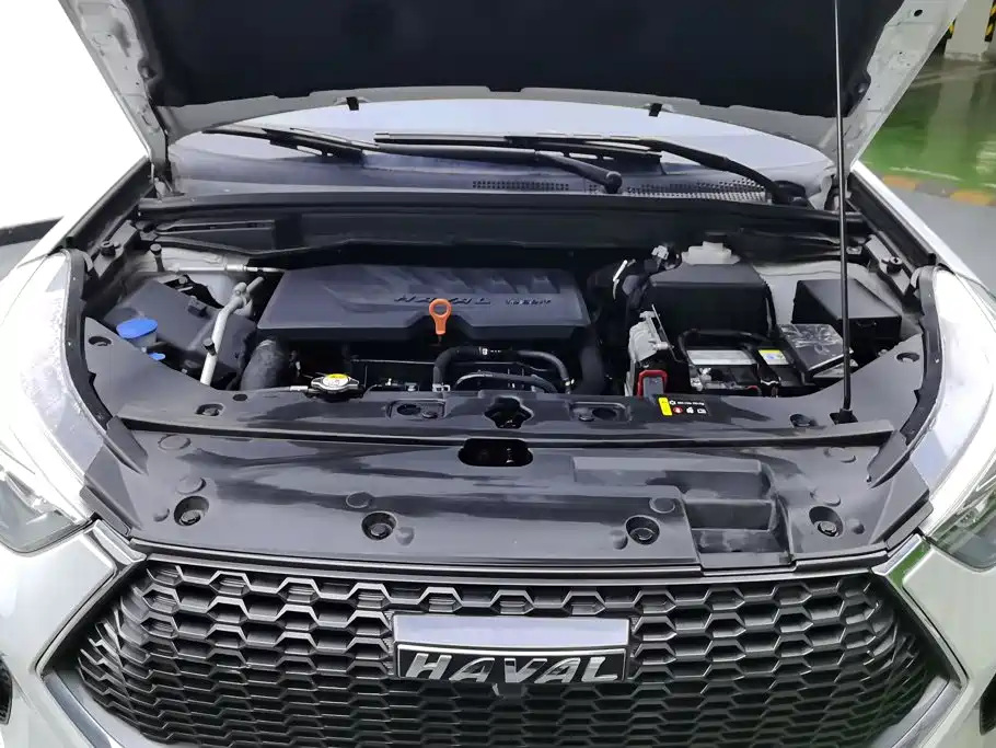 Haval H6 Coupe — миниатюра 10