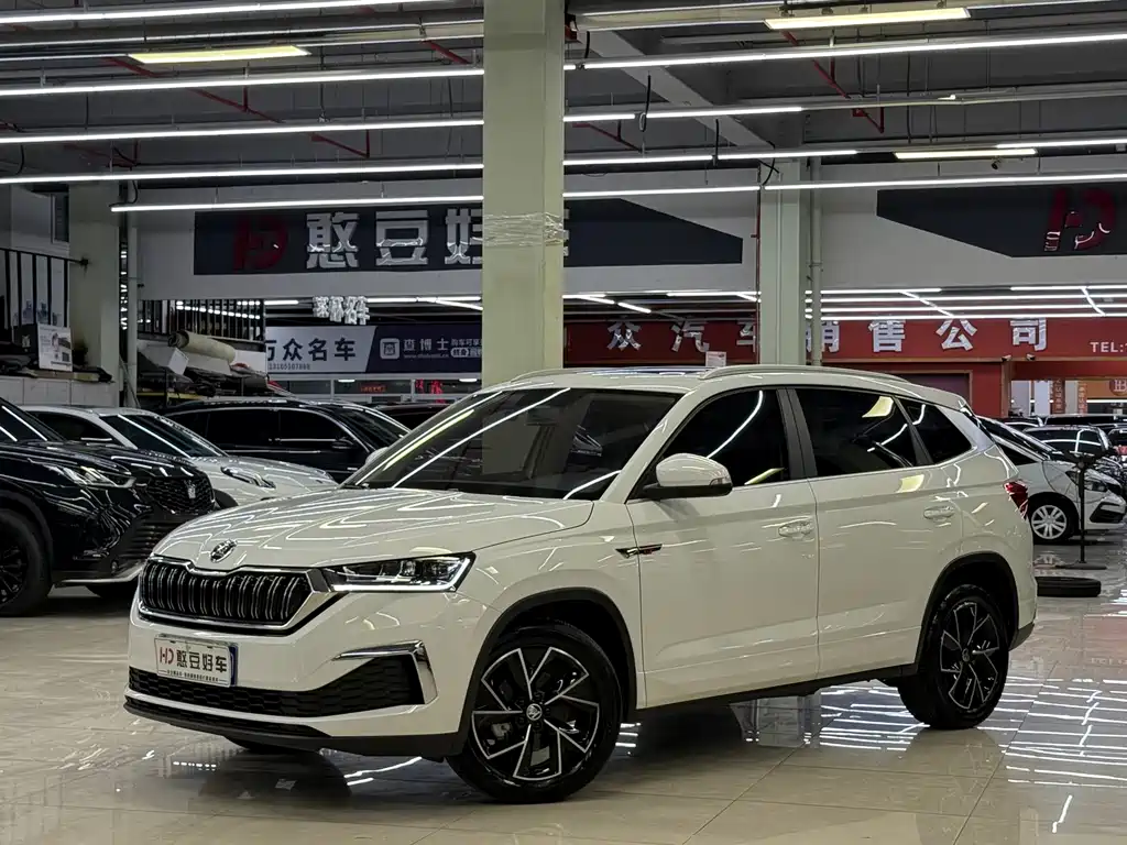 Купить Skoda Kamiq