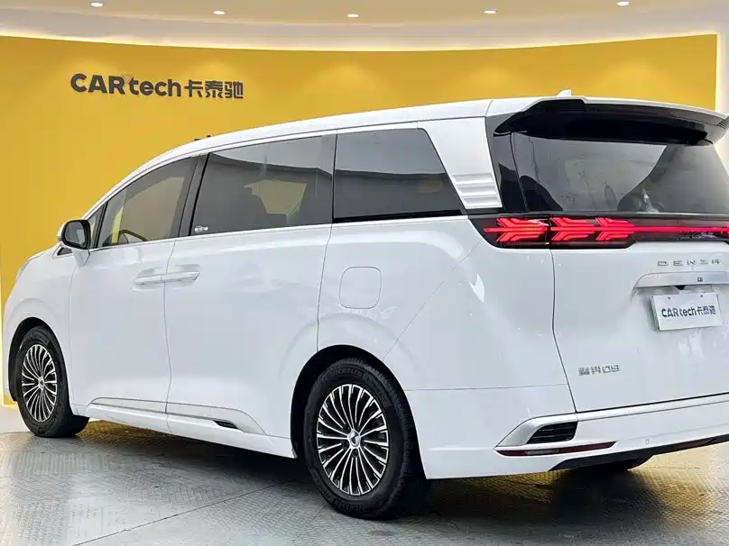 Denza Denza D9 — миниатюра 6