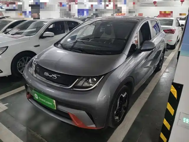 2023 BYD Dolphin