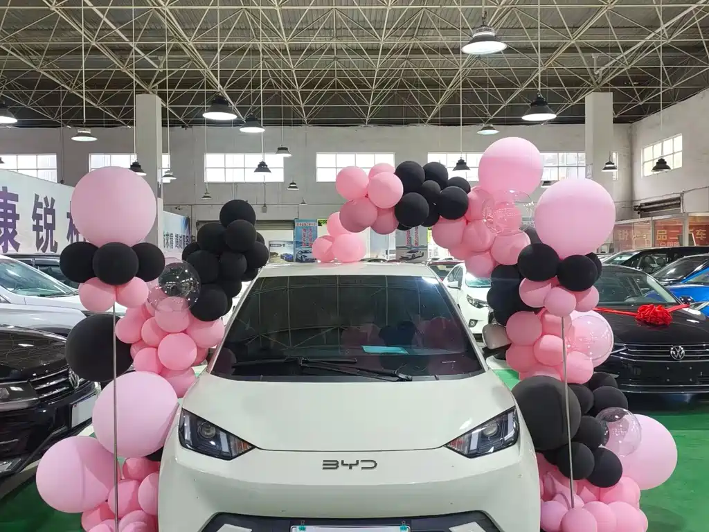 BYD Seagull — миниатюра 2