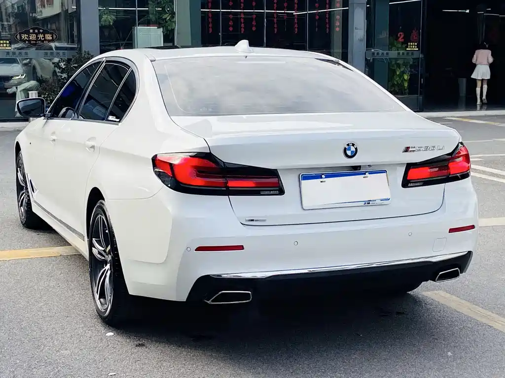 BMW 5 SERIES