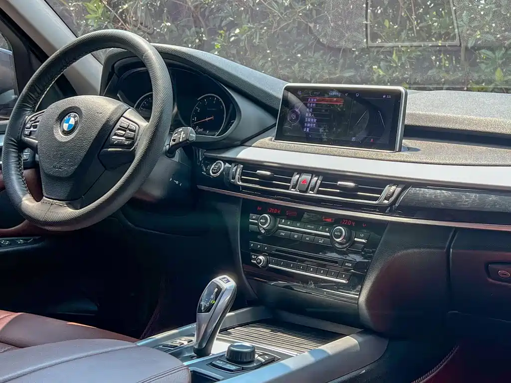 BMW X5 (Import) — миниатюра 13