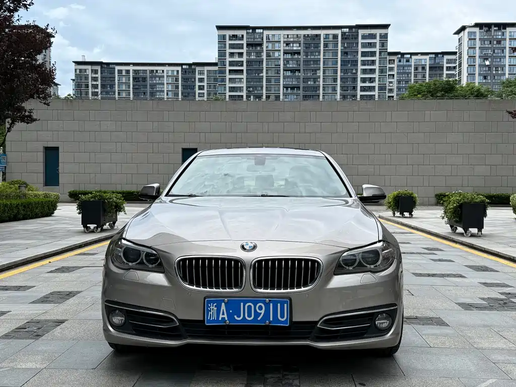 BMW 5 Series 5 2013 525Li Luxury